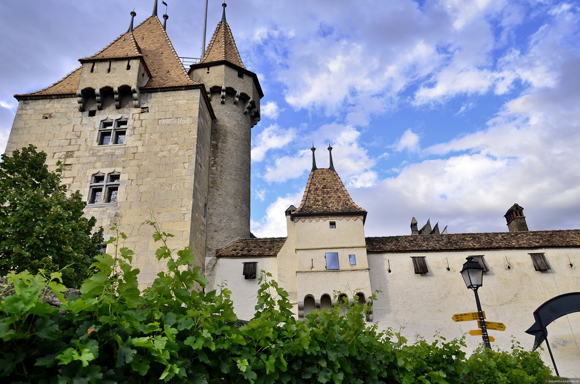 Aigle